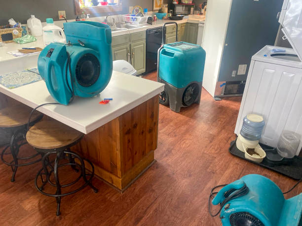 Best Carpet water damage restoration  in Miles, TX