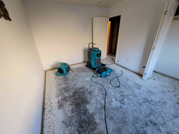 Best Water damage cleanup near me  in Miles, TX