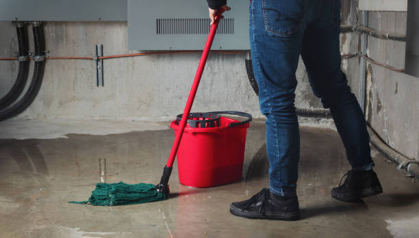 Best Fire Damage Restoration  in Miles, TX