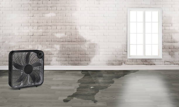 Best Flood restoration services  in Miles, TX
