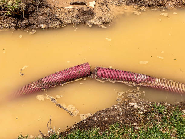 Trusted Miles, TX Water damage restoration Experts