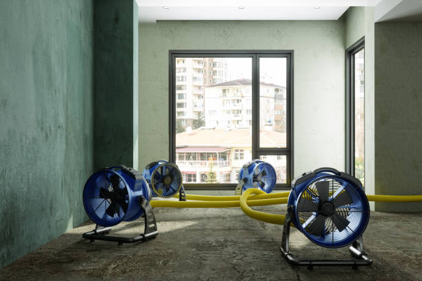 Best Water damage restoration near me  in Miles, TX